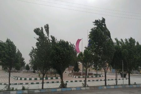سرعت باد در کرمان شدت می‌گیرد/ نخلداران شرق استان مراقبت کنند