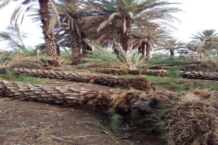 خسارت های سنگین باد و باران در فاریاب