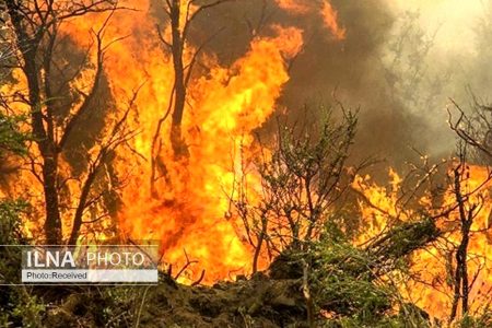 ۵ هزار متر از باغات عنبر آباد دچار آتش سوزی شد