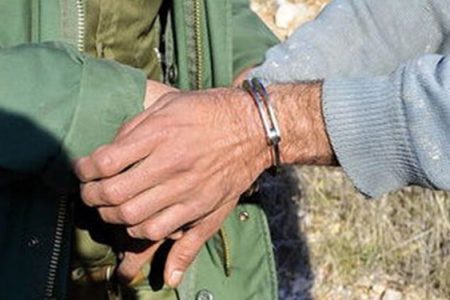 دستگیری ۲ گروه متخلف شکار و زنده‌گیری پرندگان در جیرفت