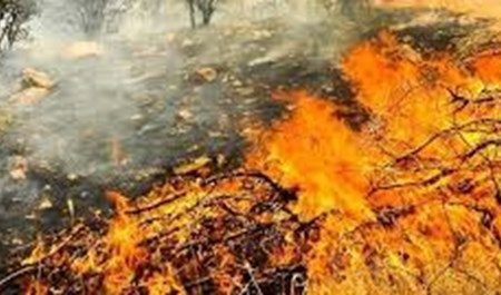 آتش‌سوزی در ارتفاعات صعب‌العبور عنبرآباد/نیاز فوری به بالگرد و تجهیزات؛ اعزام نیروهای پیاده به محل