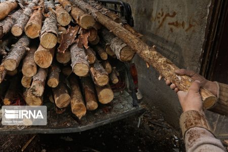 فرمانده انتظامی : ۲۴ تن چوب قاچاق در ارزوییه کرمان کشف شد