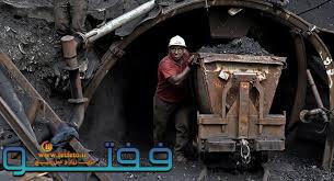 انتقاد شدید پورابراهیمی از رهاشدگی صنعت زغال در کشور
