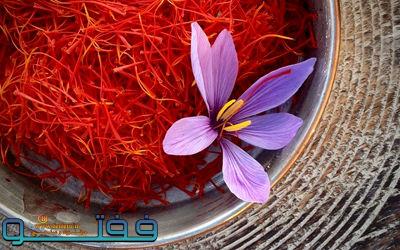 پیش‌بینی برداشت ۴۸۰۰ کیلوگرم زعفران از مزارع استان/افزایش ۴ درصدی تولید زعفران در کرمان
