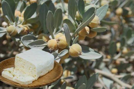 خروج سرمایه ۱۵۰ میلیارد تومانی از کشور برای ماده ای که در ایران تولید می شود/ بی مهری شرکت های لبنی به مایه پنیر ایرانی