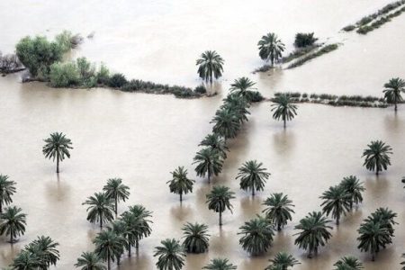 استاندار کرمان: فرمانداران برای سخت‌ترین شرایط بروز سیلاب آماده شوند