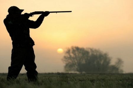 هفت قبضه اسلحه غیرمجاز از متخلفین شکارکشف شد