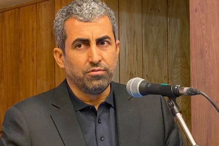 انتقاد پورابراهیمی از افزایش مالیات در کرمان