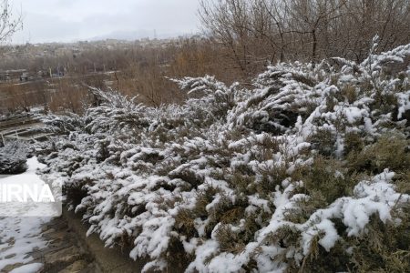 فیلم/ بارش نخستین برف زمستانی در شهر کرمان