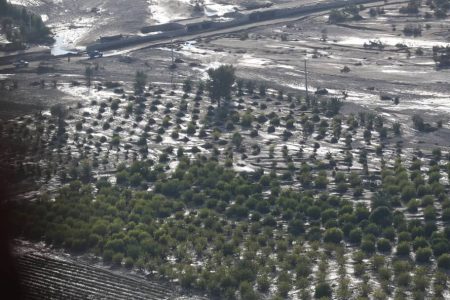 سیلاب ۴۰۱ میلیارد تومان به زیرساخت‌های منوجان خسارت وارد کرد