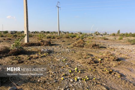 سیلاب کشاورزان جنوب کرمان را در آستانه ورشکستگی قرار داده است
