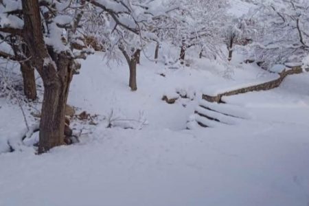 بارش برف روستاهای راور را سفیدپوش کرد