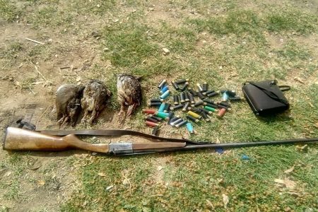 دستگیری متخلف شکار غیرمجاز پرندگان وحشی در سیرجان