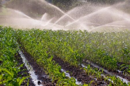 لزوم اصلاح متراژ آب مصرفی برای واحد‌های کشاورزی