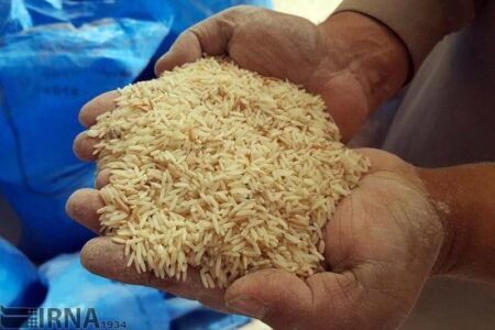 توزیع برنج‌ تایلندی کهنه صحت ندارد