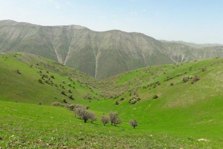 تخریب بیش از هفت هزار هکتار از مراتع جنوب کرمان
