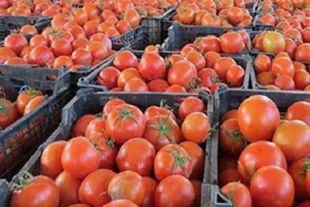 کنسرسیوم صادراتی رب گوجه فرنگی جنوب کرمان تشکیل شد