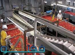 آغاز به کار واحدهای تولید رب گوجه‌فرنگی جنوب کرمان در سال جاری