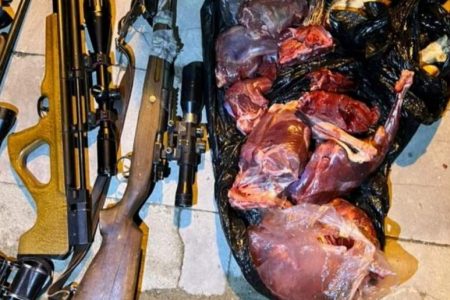 دستگیری شکارچیان غیر مجاز در ارزوئیه