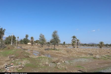قرارگاه صدور اسناد اراضی کشاورزی در کرمان تشکیل شد