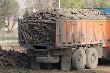 ۴۷ تن چوب قاچاق در رودبار جنوب کشف شد