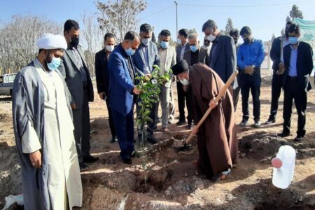 کاشت ۳ هزار اصله درخت در سیرجان