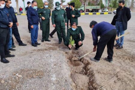 ۱۵۰ اصله درخت در کارخانه زمزم کرمان به زمین نشست