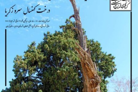 هزارمین اثر میراث طبیعی کشور در کرمان ثبت شد