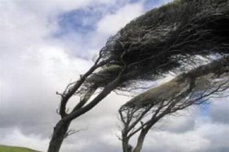 سرعت وزش باد در کرمان افزایش می یابد