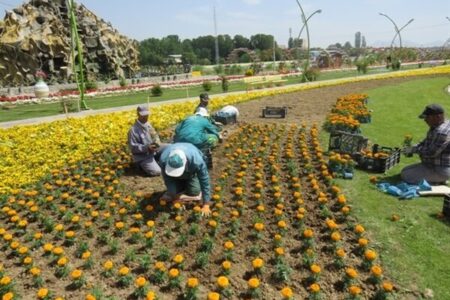 تعداد بوستان های شهر رفسنجان به ۷۵ مورد افزایش می یابد