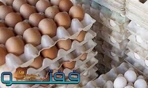 کشف تخم مرغ‌های انبارشده در کرمان