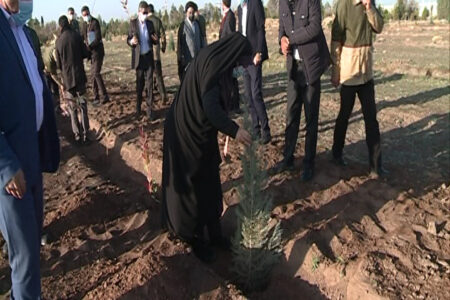 کاشت درخت در فرستنده رادیویی صداو سیمای کرمان