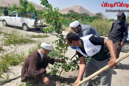 توزیع ۶۰۰ اصله درخت مثمر بین افراد نیازمند عنبرآباد