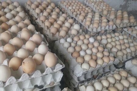 ۲۱ هزار تخم مرغ  دپو شده کشف شد