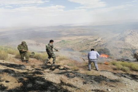 کرمانی ها برای درست کردن آتش تاغ زارها را تخریب کردند