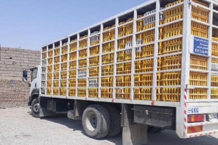 توقیف ۲ دستگاه کامیون حامل مرغ زنده قاچاق در نرماشیر