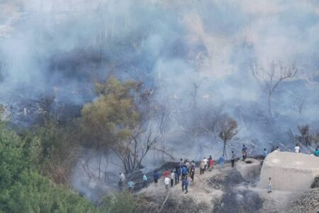 دومین آتش سوزی منابع طبیعی در روستای کشیتوییه کرمان مهار شد