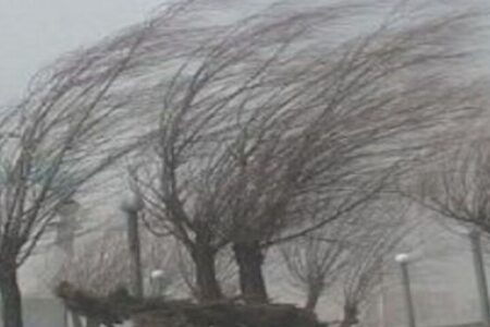 وزش شدید باد امروز در برخی نقاط استان کرمان