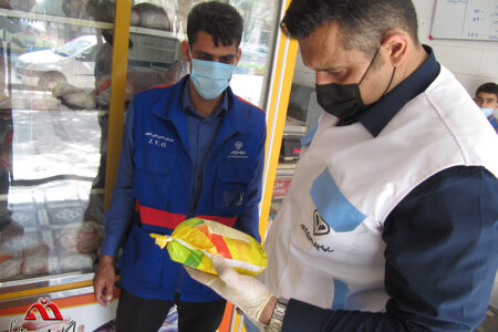 ۲۶۲ مورد بازدید و نظارت بهداشتی ویژه در ایام نوروز توسط اداره دامپزشکی شهرستان انار