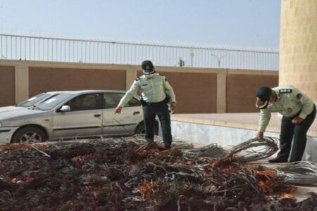 دستگیری ۴ سارق با ۱۰۰ فقره سرقت در رفسنجان