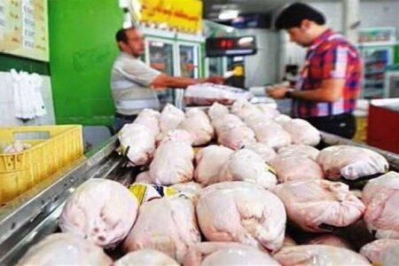 افزایش کشتار مرغ به منظور تعادل بخشی به بازار
