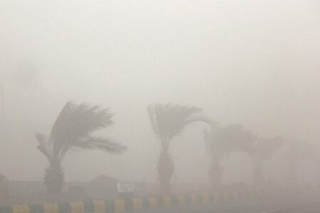 هوای شرق کرمان در شرایط خطرناک/ طوفان شن ۲ شهرستان را تعطیل کرد