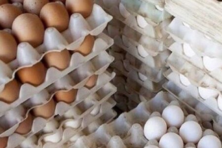 انبار احتکار ۱۷۷ کارتن تخم‌مرغ در بردسیر کشف شد
