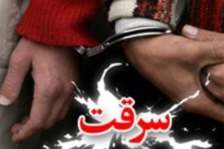 پژو سرقتی از عنبرآباد کمتر از یک ساعت کشف شد