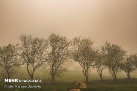 افزایش گرد و غبار و ریزگردها در استان کرمان