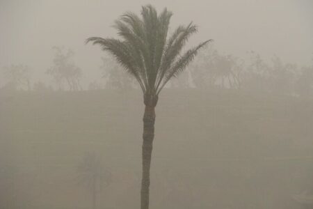 پیش‌بینی وزش باد همراه با گردوغبار در کرمان
