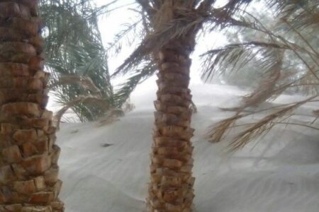 طوفان شن در راه کرمان/ گرد و غبار شدید در شرق استان