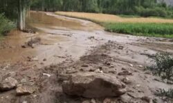 وضعیت سیل در روستاهای شرقی رفسنجان/ دره‌در بیشترین  خسارت را دید