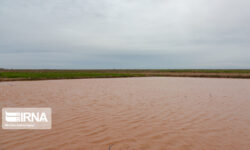 سیل جیرفت خسارت نداشت/باران ادامه دارد، شهروندان نزدیک رودخانه نشوند