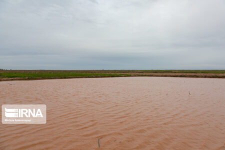 سیل جیرفت خسارت نداشت/باران ادامه دارد، شهروندان نزدیک رودخانه نشوند
